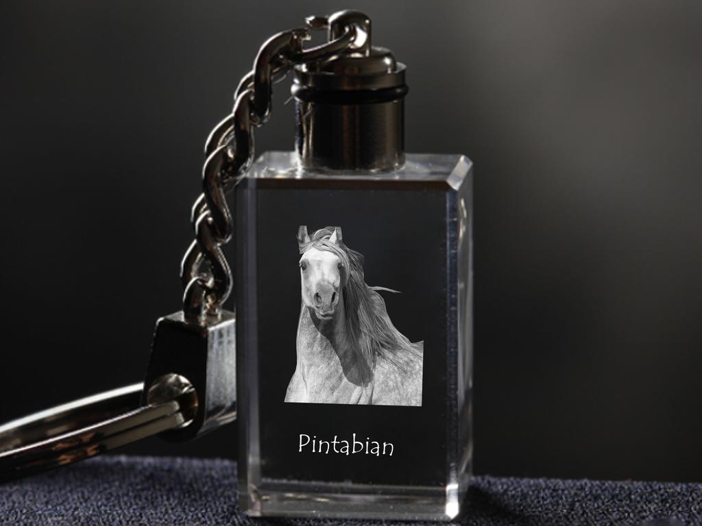 Pintabian - Křišťálový přívěsek s fotografií koně, podsvícený přívěsek, jedinečný dárek značky Art-Dog