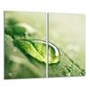 GLASS CUTTING BOARD 2x 30x52 DROP