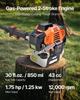 Gas Pole Saw, 43CC 2 Stroke Gas Powered Pole Saws with 30.48 Cm Cutting Bar, Cordless Tree Trimmer with Rotatable Head, 2.16 To 3.66 M Extendable,