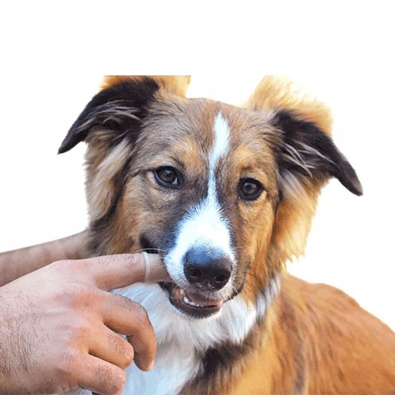 Silicone Tooth Brush For Animals Dogs Cats Toothbrush