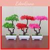 Handcrafted Plastic Indoor Bonsai Accent For Office And Home