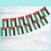 Colorful Palestine String Flags 20pcs 5 Meter Polyester Banners For Indoor Outdoor Use