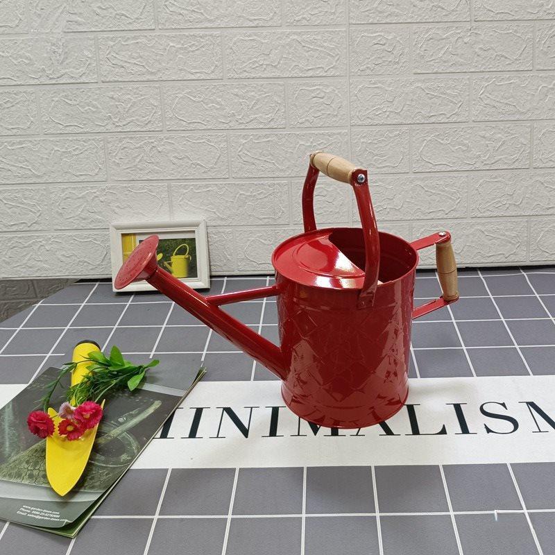 Large-Capacity Dual-Use Iron Watering Can: Ideal for Home Flower Care, Vegetable Planting, and Gardening Spraying.