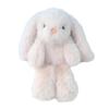 Creative And Adorable Plush Toys, Perfect For Holiday Gifts, Birthday Gifts, And Companionship Gifts For Children