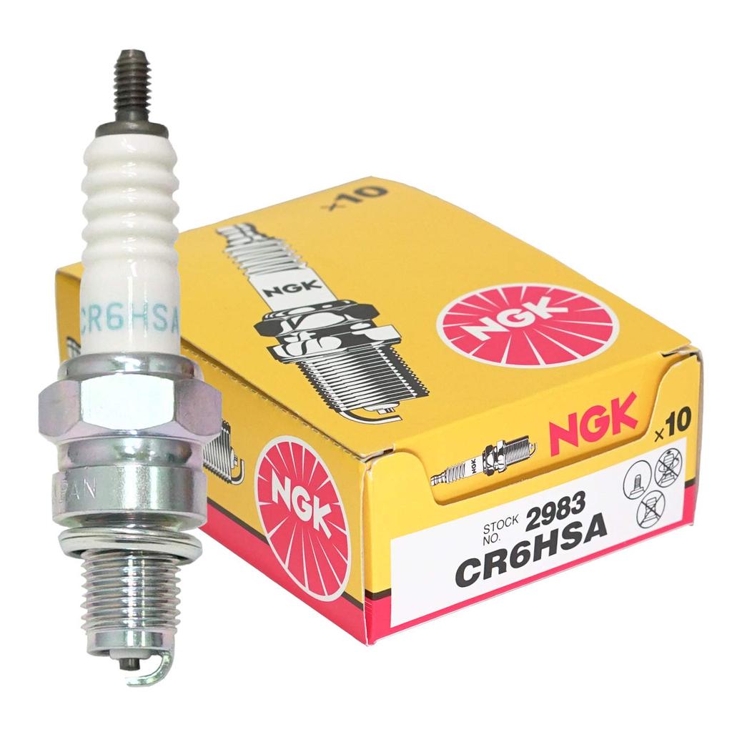 Spark Plug Part Number: CR6HSA Stock No.2983 (10 pieces)