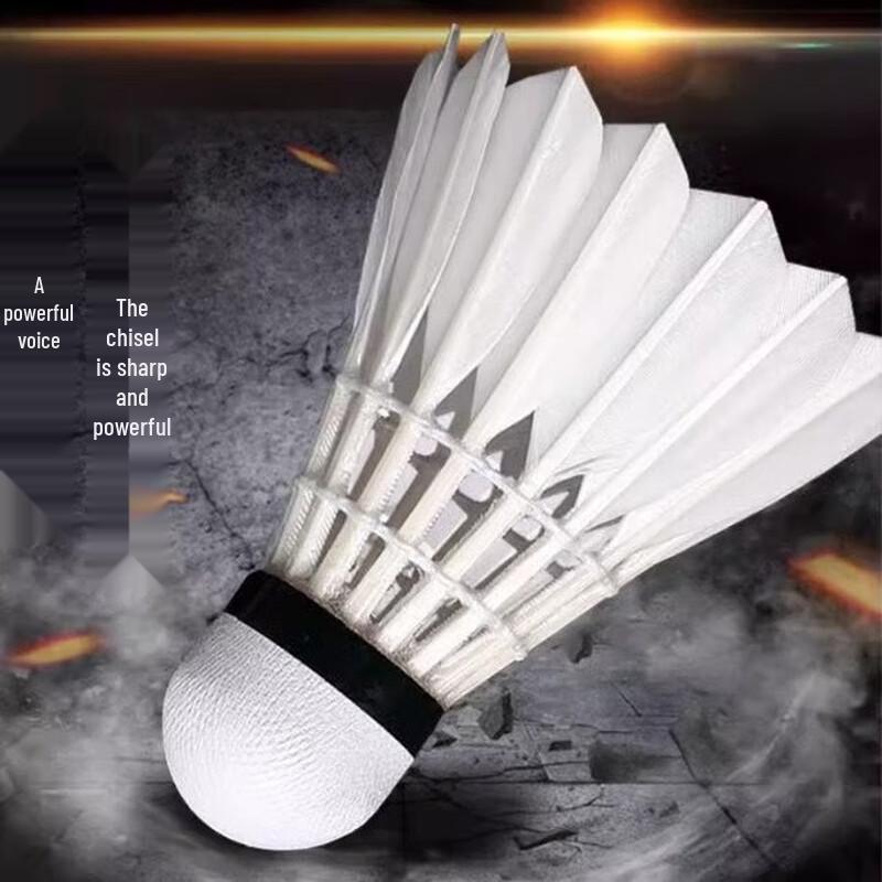 WEZHO Professional Badminton Shuttlecocks (12-pack)