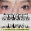 No Glue Cluster Lashes 6 Rows Individual Lashes High Quality Soft Idol Lash Clusters