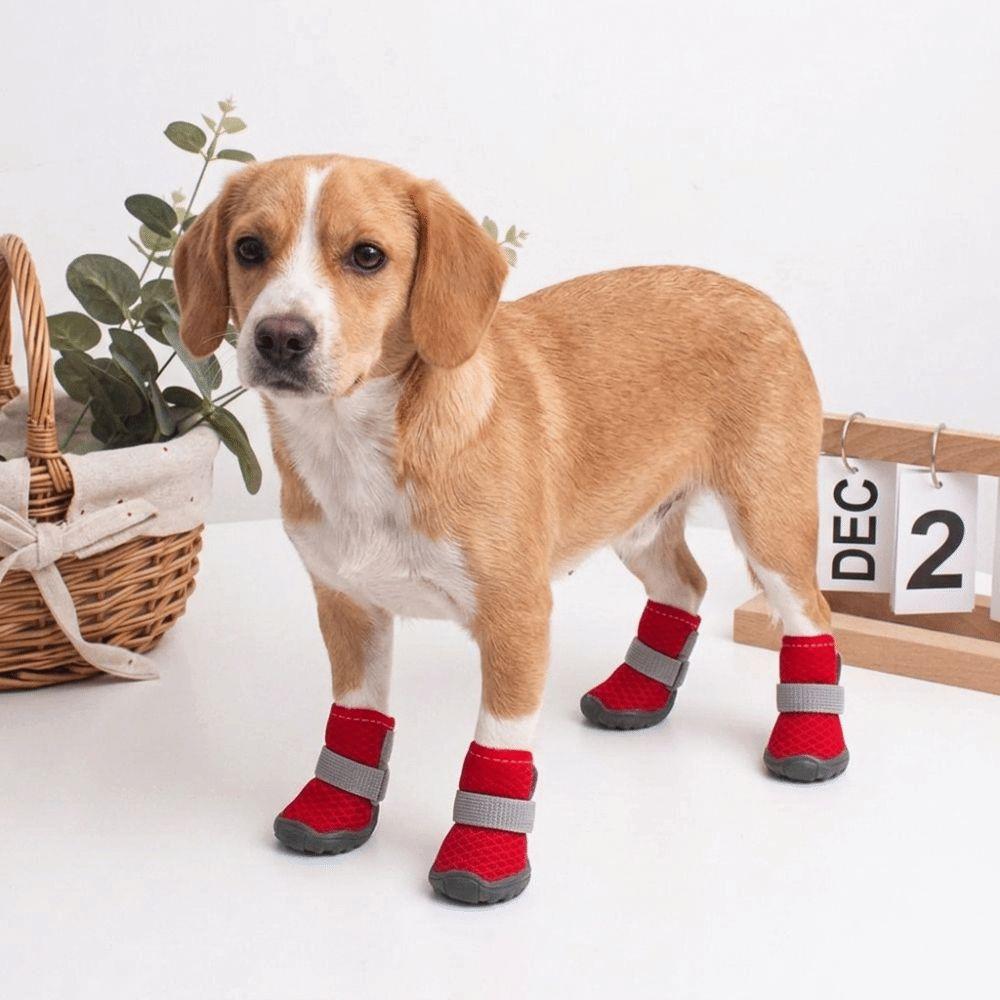 Breathable Dog Shoes Wear-resistant Pet Foot Covers Mesh Dog Boots for Small Dogs