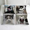 Husky PPuppy Dog Decorative Square Pillow Cover Modern Cushion Case for Living Room Bedroom