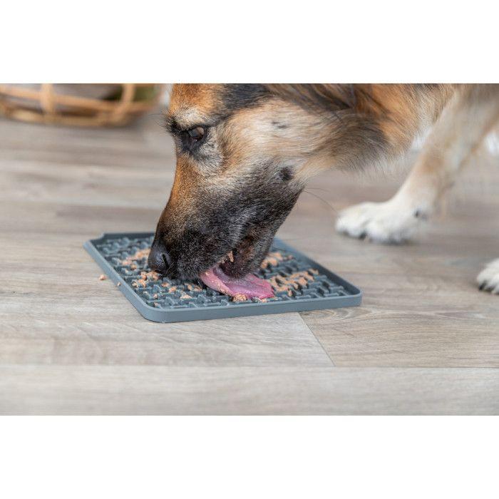 Assiette À Lécher Lick'n'Snack 20 X 20 Cm Gris Pour Chien - Trixie