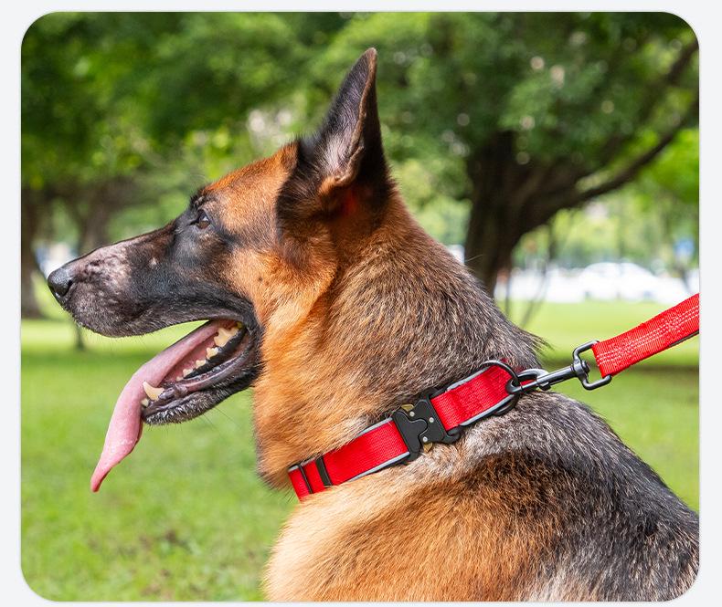 Guler tactic reflectorizant pentru câini de talie medie și mare: Collie, Golden Retriever, Labrador