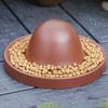 Plastic Reptile Feeder Bowl Round Reptile Water Pot Easy-Clean Feeder Ledge  for Amphibians