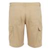 Regatta Mens Ruwan Casual Shorts