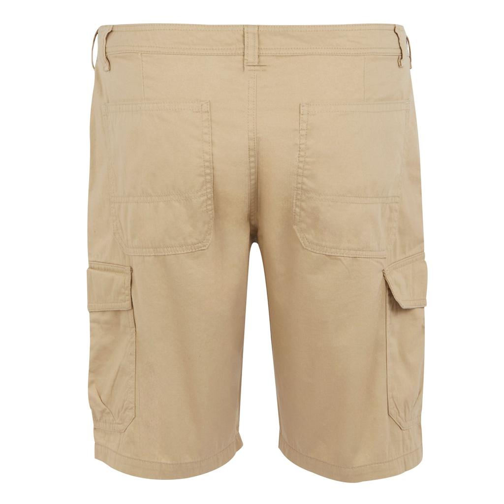 Regatta Mens Ruwan Casual Shorts