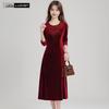 Women's V-Neck A-Line Velvet Embellished Dress