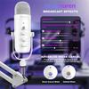 Haomuren Professionele USB Streaming Podcast PC Microfoon Studio Cardioïde Condensator Microfoon Kit met Boomarm Voor Opnemen YouTube