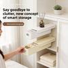 Modern Minimalist Plastic Wall Mount Storage Box With Dividers For Closet Organization