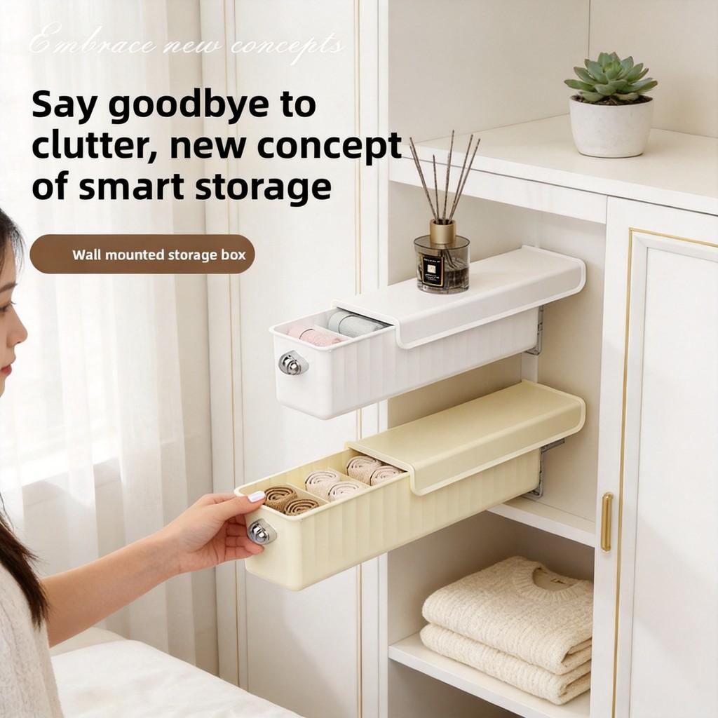 Modern Minimalist Plastic Wall Mount Storage Box With Dividers For Closet Organization