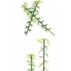 10pcs Small Micro Landscape Artificial Sand Table Model Simulation Green Plants  Building Toys