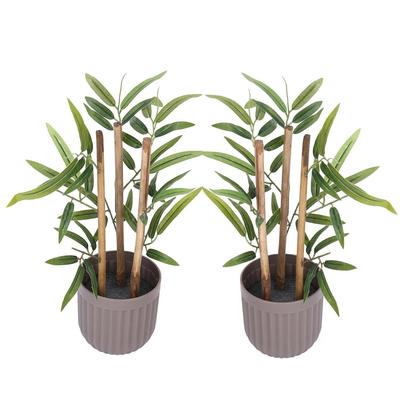 Realistic Looking Pack of 2 Artificial Mini Bamboo Plant, 29x10 Cm, for Home/Office Décor, Greenery In Brown Plastic Pot