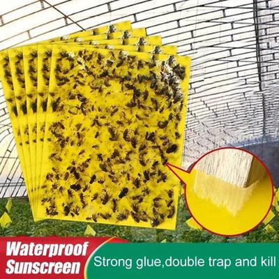 20 Stück doppelseitige, klebrige Insekten-Lockstoff-Aufkleber sind frei von Chemikalien.