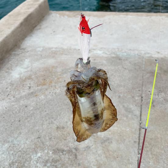 78mm/10g Fishing Bait Bright Universal Sharp Hook 3D Realistic Fisheye Simulation Design Fishing