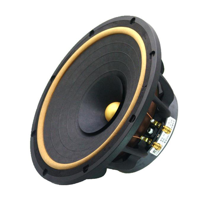 10" Full-Range Speaker with Leather Surround & Aluminum Frame. Features 3-Band EQ, Ideal for Vocals & Instruments, Perfect for Tube Amps.