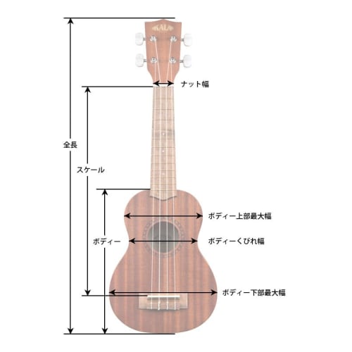 KALA Premier Exotic Series Concert Ukulele with Maca Wood Body, KA-PX-MACA-C (Case Included)