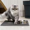 Cartoon Collaboration Double-Layer Cat Litter Mat - Anti-Tracking, Washable, Splash-Proof