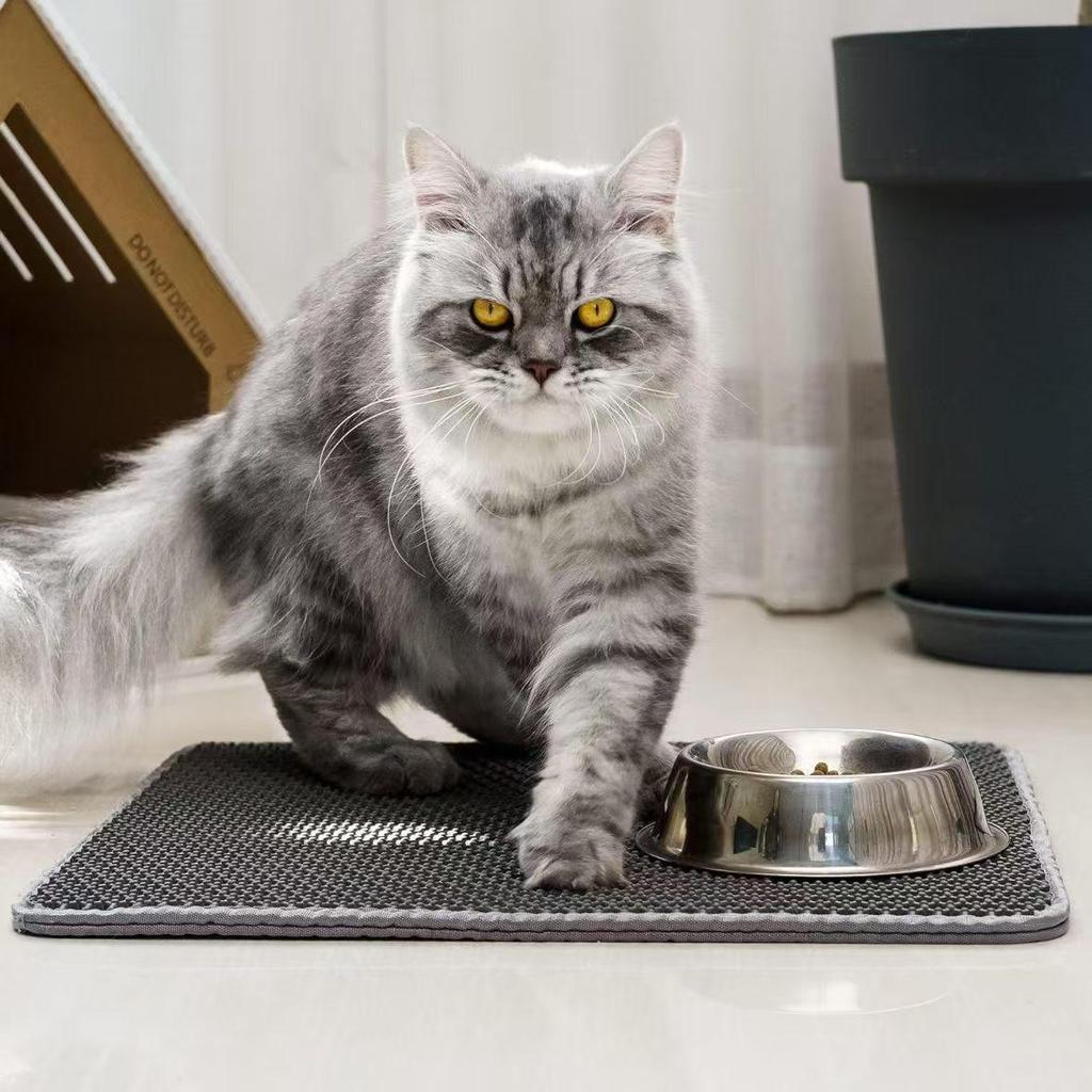 Cartoon Collaboration Double-Layer Cat Litter Mat - Anti-Tracking, Washable, Splash-Proof