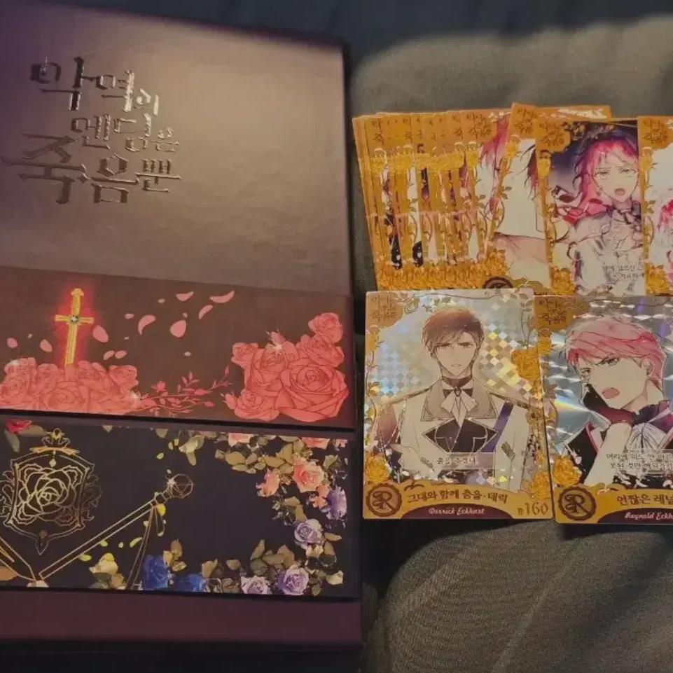 

Партия] Единственный конец для злодея в Ropan Goods — это смерть, Bad & Bad Binder + 28 коллекционных карт