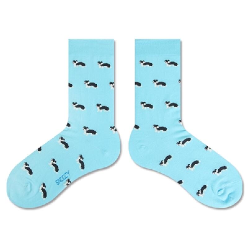 PI-Мята (Бордер колли)