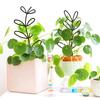 Vine Pillar Multifunctional Metal Stand Frame Flower Climbing Holder Planting Rack Indoor Trellis