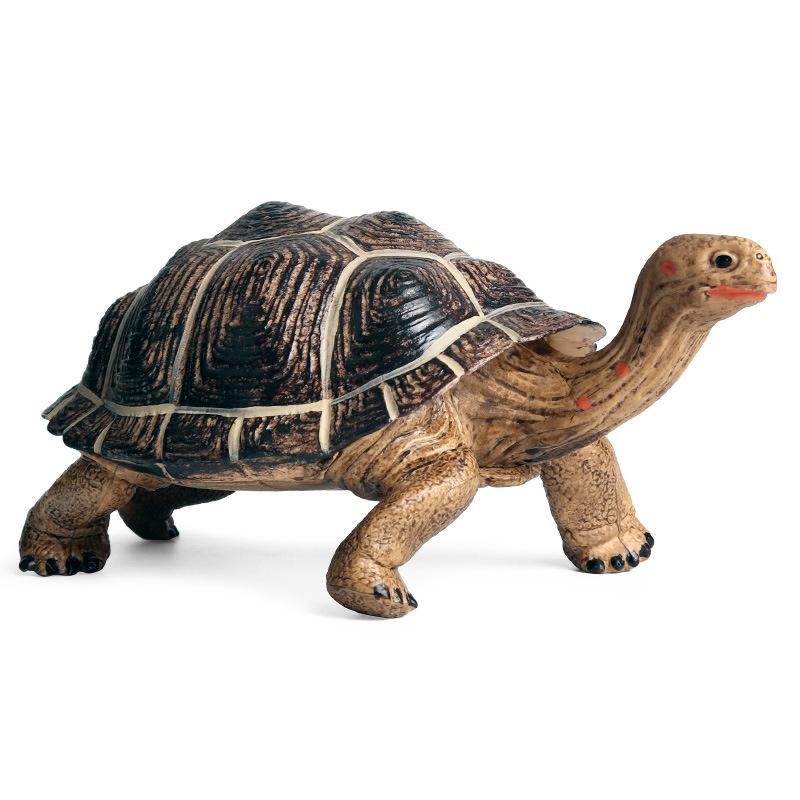 

Моделирование Geochelone Модель Geochelone Черепаха Биологическая модель Игрушки Пластиковые украшения 1pcs