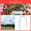 Wedding Garden Arch Trellis For Climbing Plants Foldable Metal Frame Simple Style