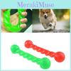 Sicheres und ungiftiges Gummi-Hundespielzeug, perfekt zur Förderung gesunder Zähne bei Haustieren