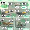 Avidora Frog Fun Toy Figurine Animal Educational Toy Growing Stages 5pcs