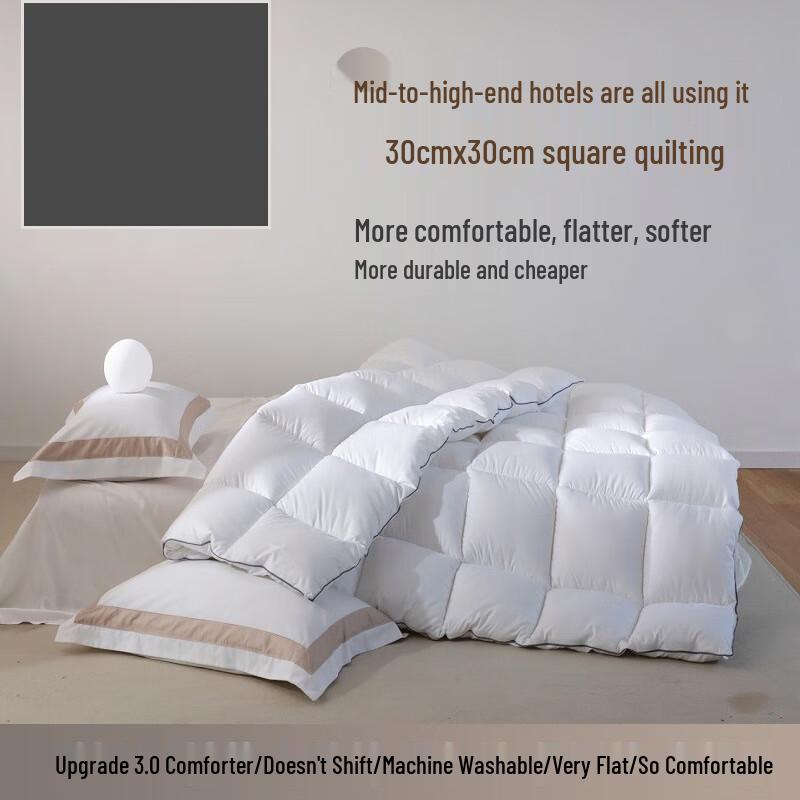 Le Qisi White Goose Down Duvet Insert