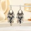 Retro Heavy Industry Crystal Fringed Earrings Personality Exaggeration Silver Needle Earrings Long Light Luxury Premium Ethnic Style Earrings
