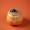 Edenus Ceramic Pumpkin Tea Set