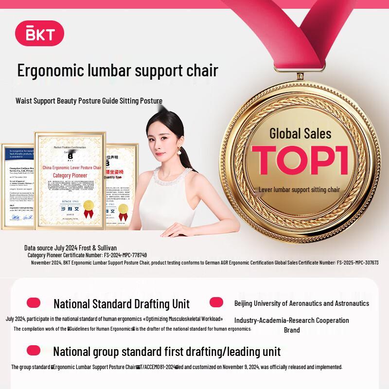 BKT Ergonomic Lumbar Support Seat Cushion