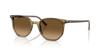 sunglasses 0RB2197F ELLIOT STRIPED GREEN POLAR BROWN GRADIENT 54mm Asian Fit Polarized Ray-Ban