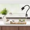 Acquario per tartarughe, terrario smontabile, accessori per rettili, terrario acquatico per tartarughe, rane arboricole e salamandre