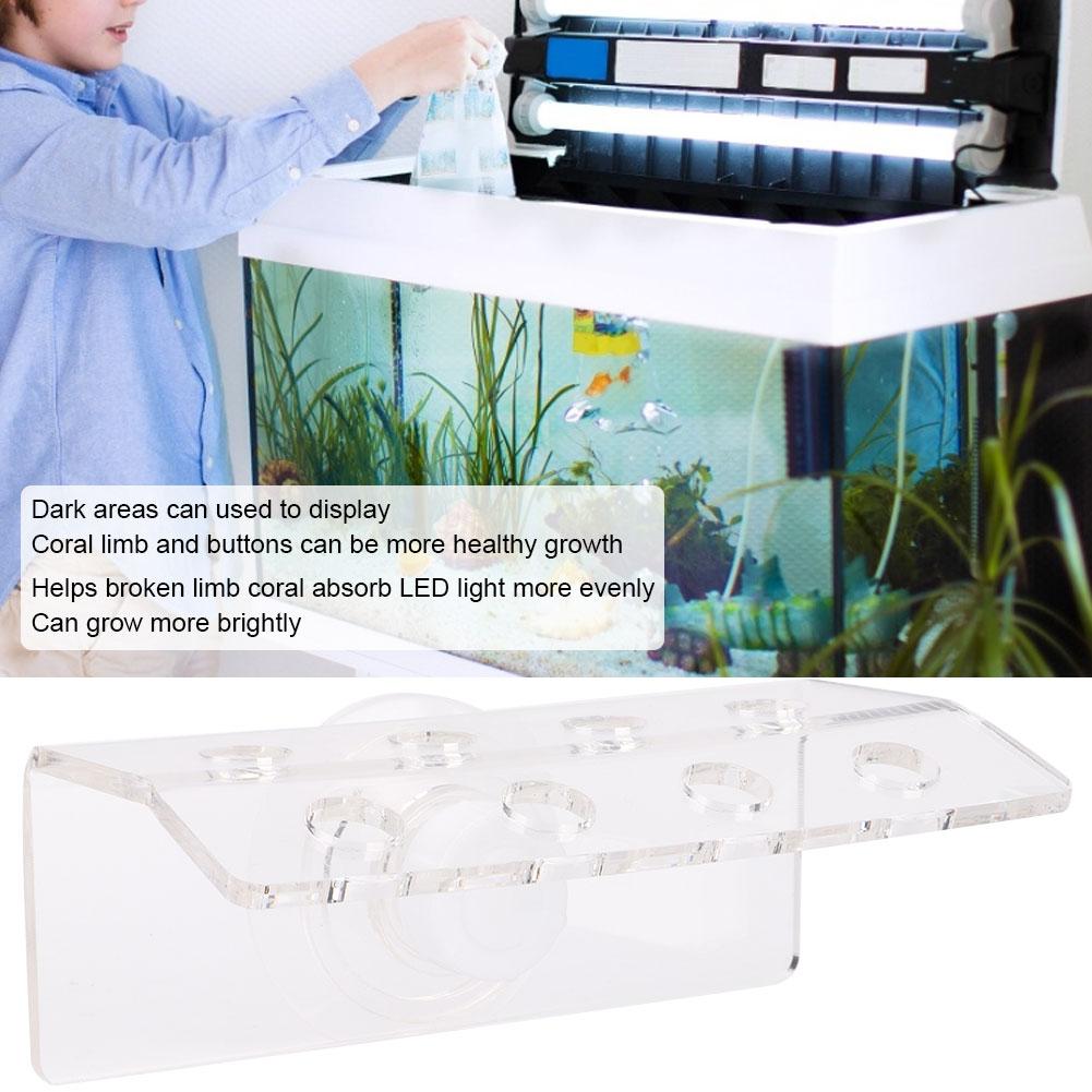 Acrylic Transparent Aquarium Front Loading Curved Coral SPS Button Snags Bracket Mount Fish Tanks