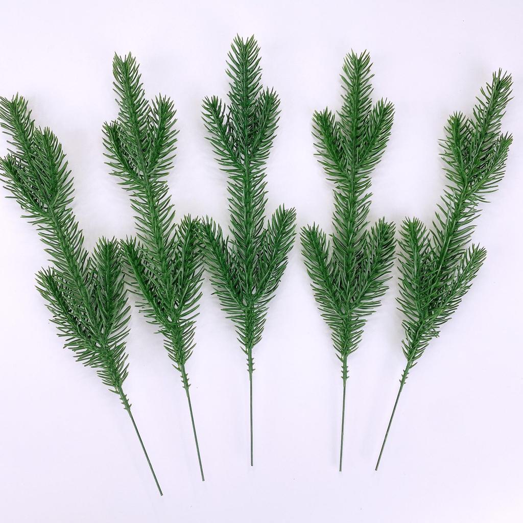 Natural Dried Pine Cones for Christmas Tree Decoration, Photography Props, Floral Wreaths, and Bouquets.