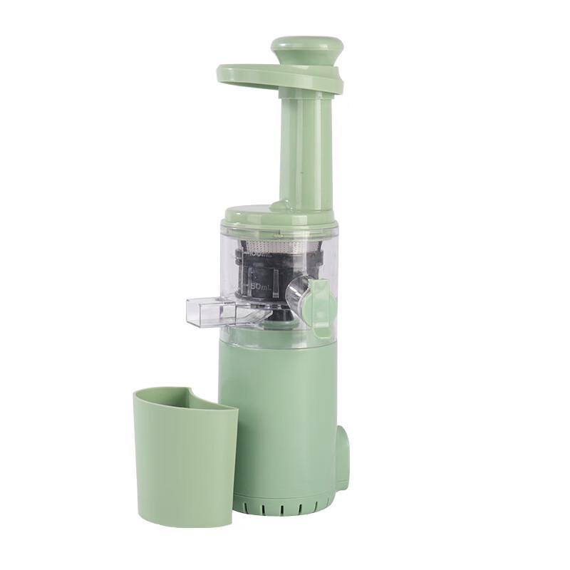 ZISIZ Slow Masticating Juicer