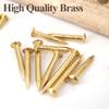 100 pcs Round Head Round Head Pins Rust-proof Brass Nail Track Mini Brass Nails  Models Crafts