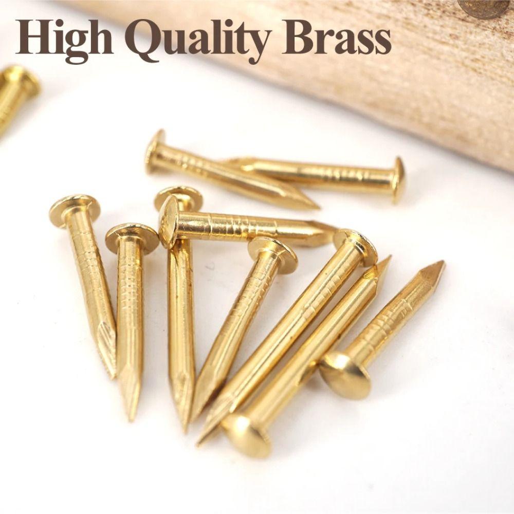 100 pcs Round Head Round Head Pins Rust-proof Brass Nail Track Mini Brass Nails Models Crafts