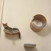 Cat Wall-Mounted Set with Hammock Stairs and Cat House Pet Furniture Accessory for Strolling and Play