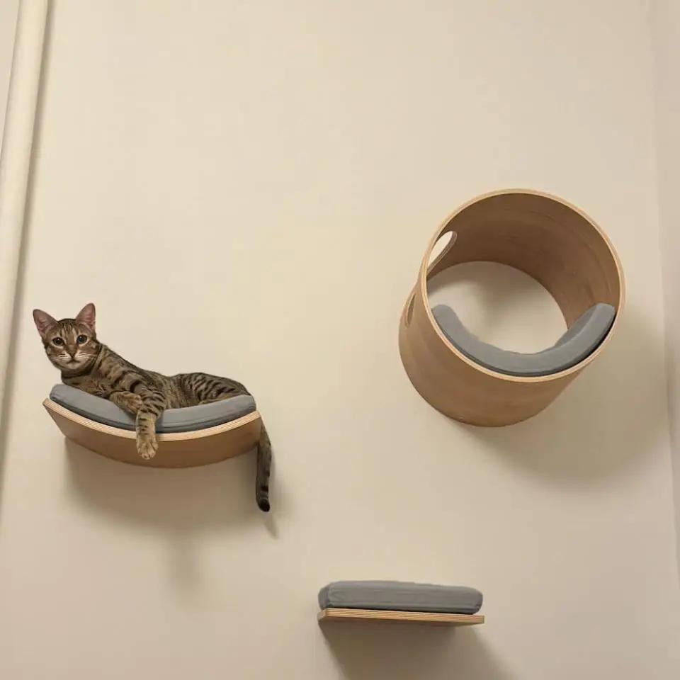 Cat Wall-Mounted Set with Hammock Stairs and Cat House Pet Furniture Accessory for Strolling and Play